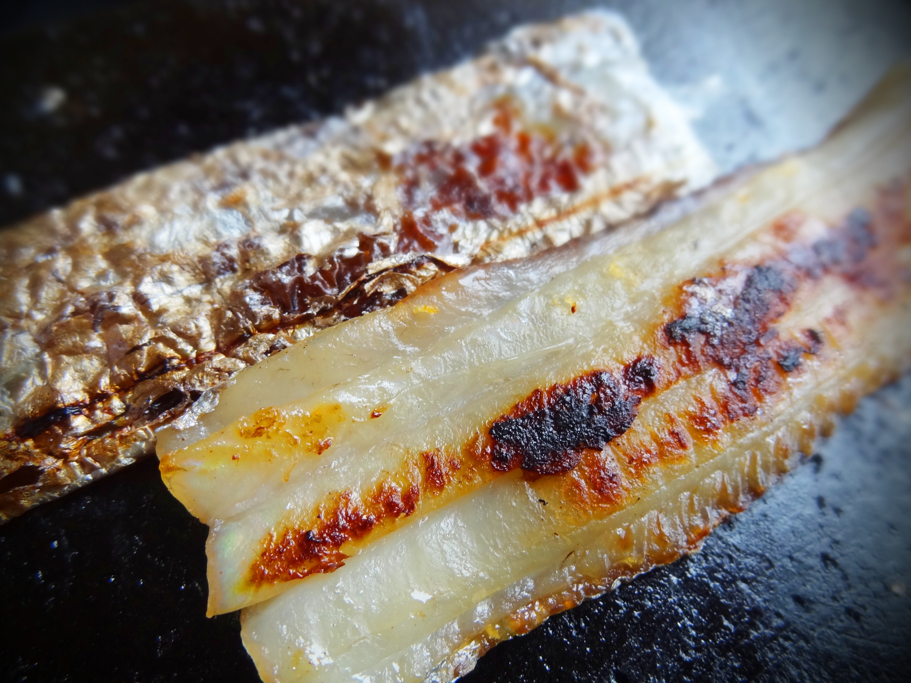 干物が主役セット