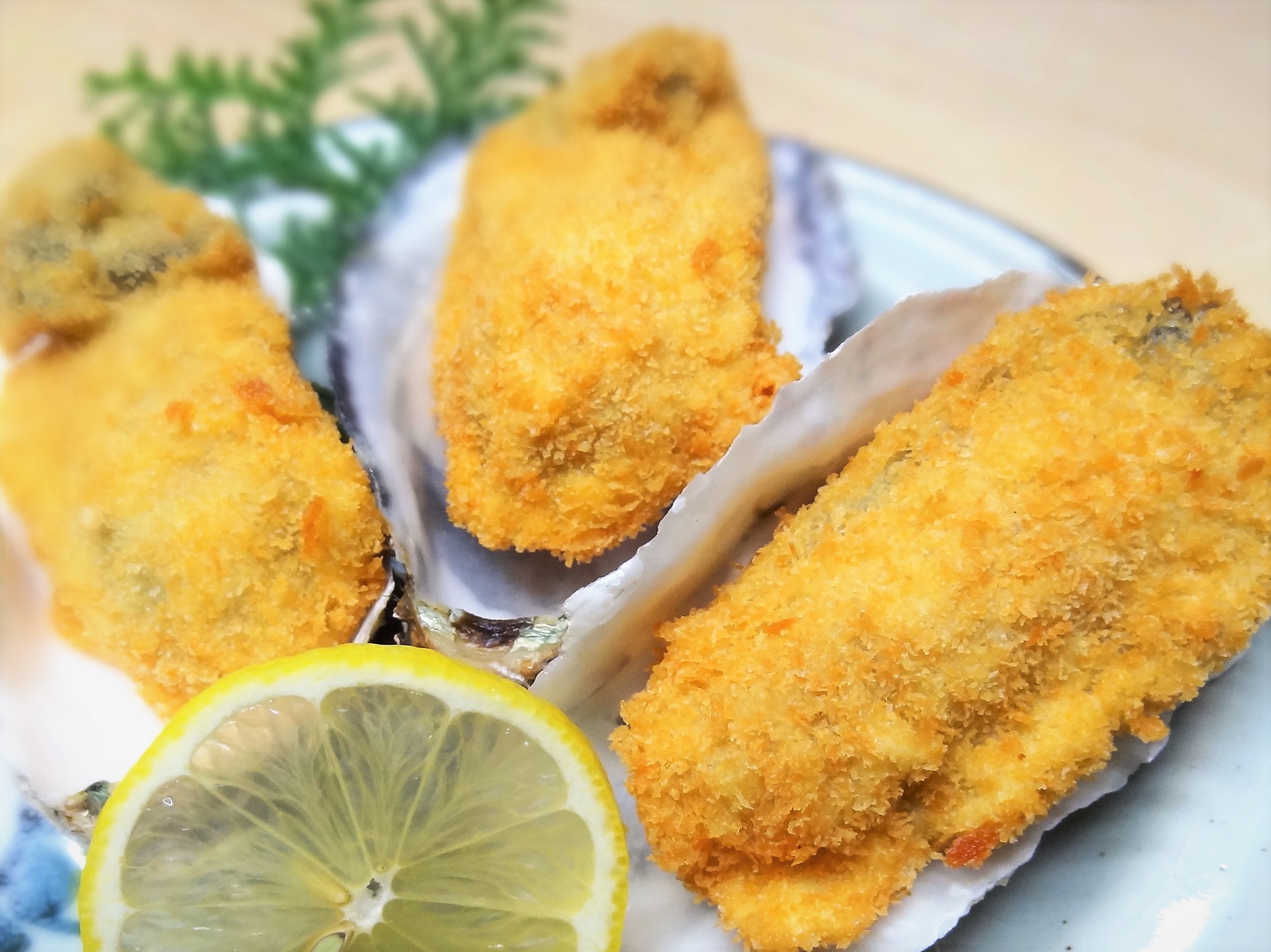 答志島の牡蠣ももこまちのカキフライ